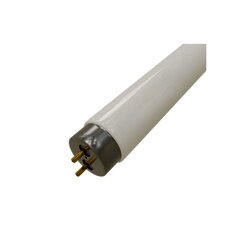 LAMPARA FLUORESCENTE 21W T8 762MM