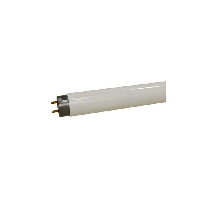 LAMPARA FLUORESCENTE 21W T8 762MM