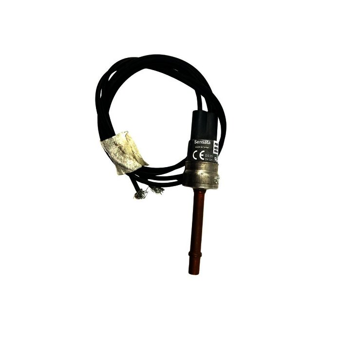 INTERRUPTOR PRESION CO2 S/T
